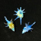 Slow Time Handcrafted Imported Glazed Conch Shell Imitation Pendant